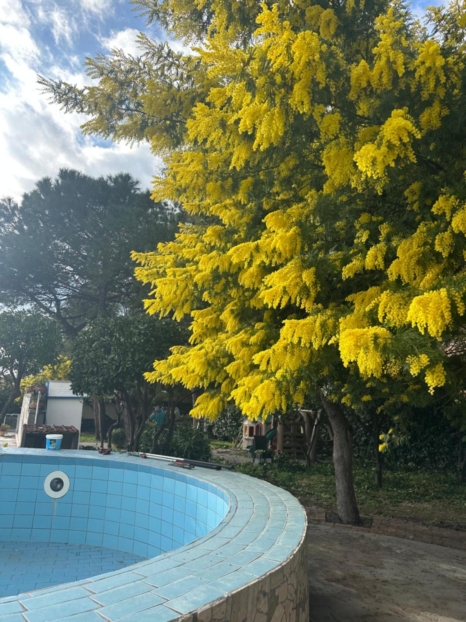 Hotel Villa La Colombaia Portici Kültér fotó
